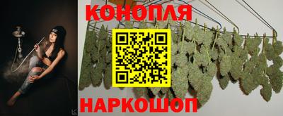 крисы Обнинск
